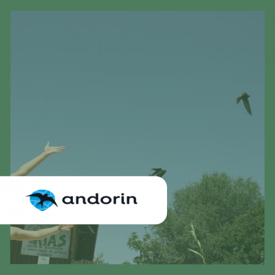 novo-projeto-andorin-website